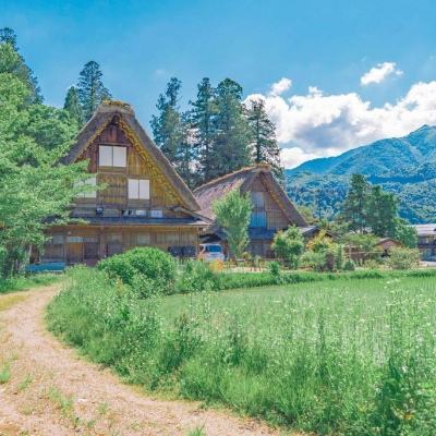 49图库一资料中心手机app下载