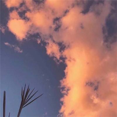 半岛官方手机网页版