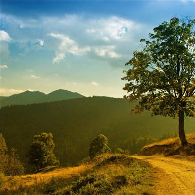 Bob体育综合APP下载客户端